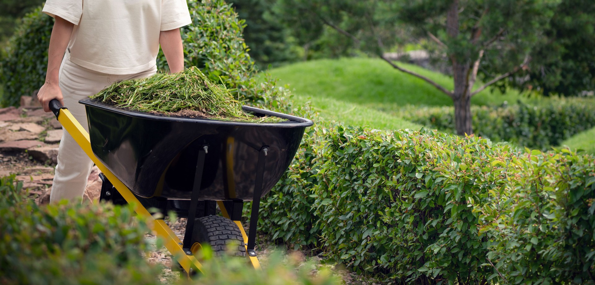 In a garden, a gardener moves a wheelbarrow of lush green plants, tending to the garden